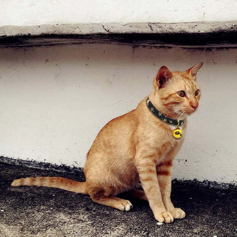 SLSON - 2 collares para gatos con campana para gatitos y cachorros, lindo collar con patrón de estrellas y campana dorada para gatito de mascota ajustable de 8 a 12 pulgadas