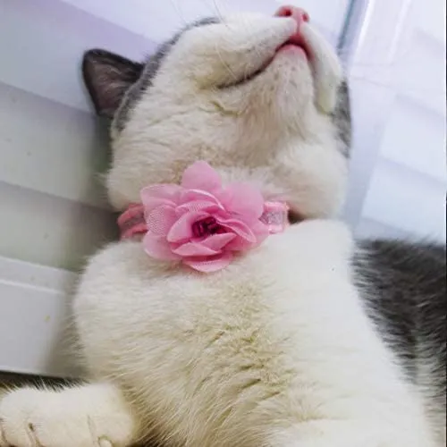 azuza Collar para gato con campana, 2 collares con purpurina para gato con accesorios de flores, rojo y rosa romántico