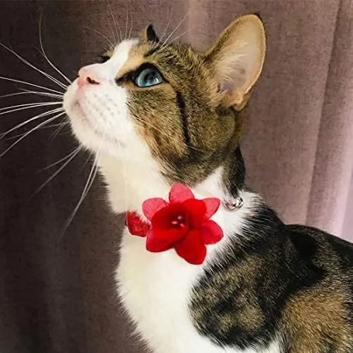 azuza Collar para gato con campana, 2 collares con purpurina para gato con accesorios de flores, rojo y rosa romántico