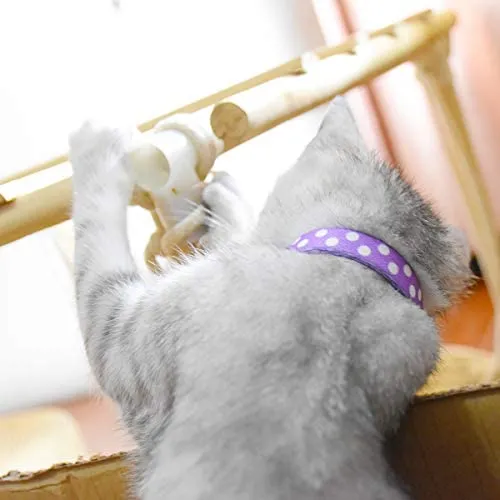 XPangle Collar para gato con campana, lindo collar de seguridad ajustable para gatito cachorro cuello 7.8 – 11.8 pulgadas