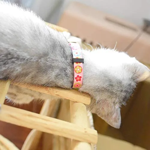 XPangle Collar para gato con campana, lindo collar de seguridad ajustable para gatito cachorro cuello 7.8 – 11.8 pulgadas
