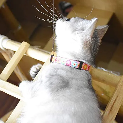 XPangle Collar para gato con campana, lindo collar de seguridad ajustable para gatito cachorro cuello 7.8 – 11.8 pulgadas