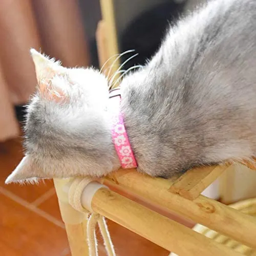 XPangle Collar para gato con campana, lindo collar de seguridad ajustable para gatito cachorro cuello 7.8 – 11.8 pulgadas