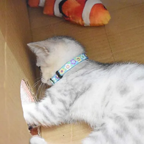 XPangle Collar para gato con campana, lindo collar de seguridad ajustable para gatito cachorro cuello 7.8 – 11.8 pulgadas