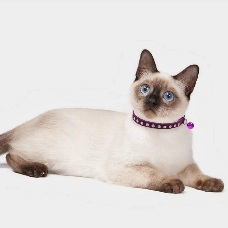 BINGPET Collar de gato con campanas Breakaway, suave terciopelo seguro, collares ajustables con diamante brillante, rosa y morado, 2 unidades