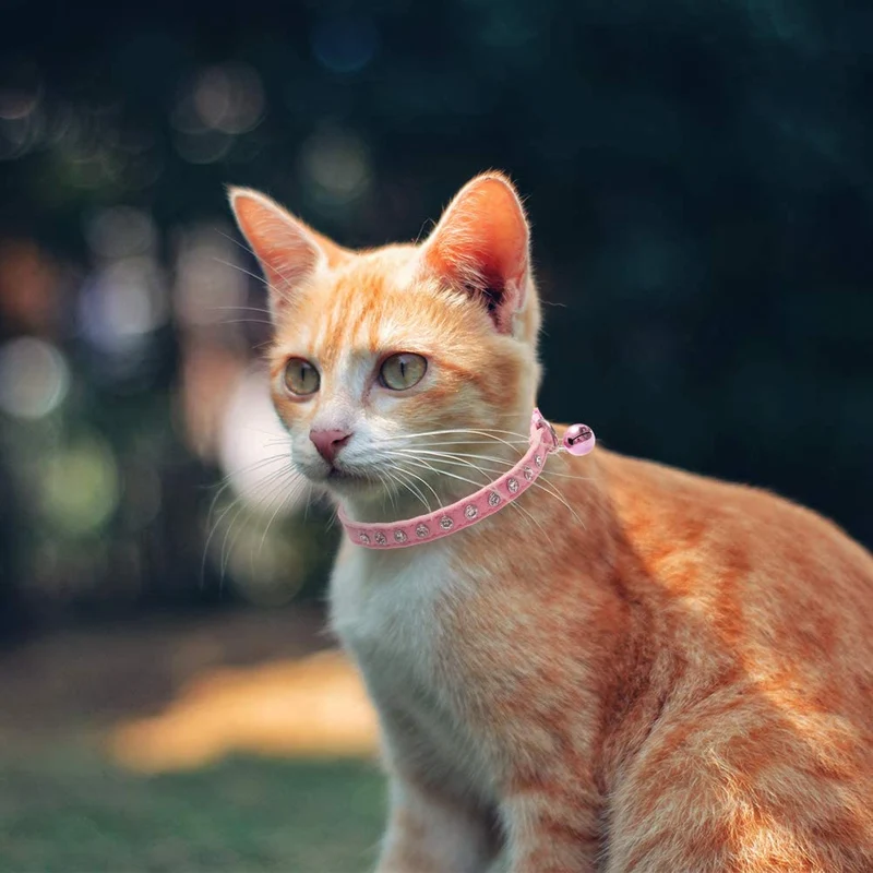 BINGPET Collar de gato con campanas Breakaway, suave terciopelo seguro, collares ajustables con diamante brillante, rosa y morado, 2 unidades
