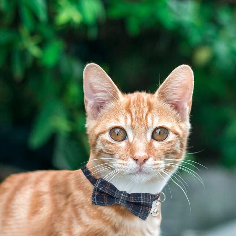 BINGPET Collar de gato Breakaway lindo pajarita con campana 4 unidades – Collares de seguridad desmontables y ajustables para gatito, incluyendo azul, rojo, rosa, azul marino