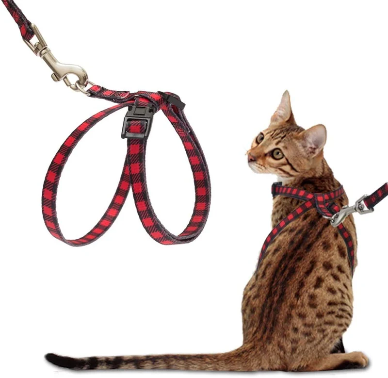 PUPTECK Arnés para gato con correa – Correa suave ajustable con arnés estilo figura 8 pulgadas, adorable y especial