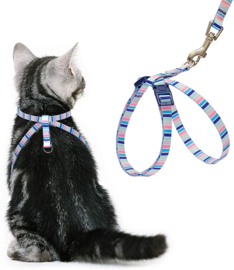 PUPTECK Arnés para gato con correa – Correa suave ajustable con arnés estilo figura 8 pulgadas, adorable y especial