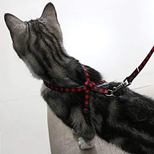 PUPTECK Arnés para gato con correa – Correa suave ajustable con arnés estilo figura 8 pulgadas, adorable y especial