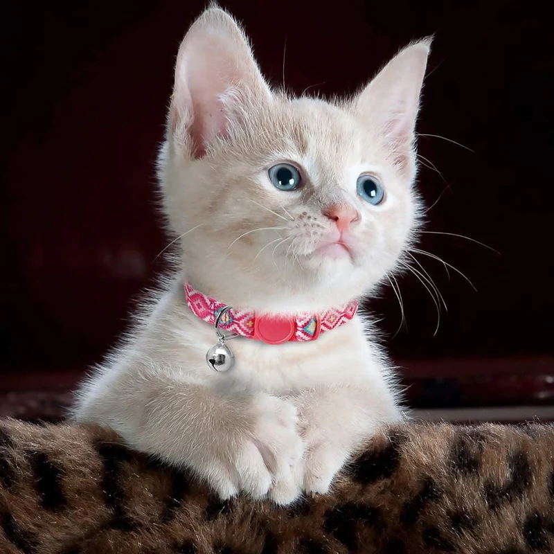 Didog - 6 collares de gato de color fresco con campana, de nailon suave y ajustable, con hebilla de seguridad, para gatitos, perros pequeños