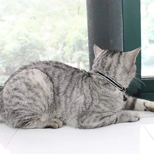 DAIHAQIKO - Collar para gato con campana, ajustable, diseño de gatitos