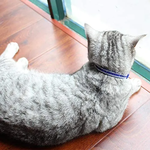 DAIHAQIKO - Collar para gato con campana, ajustable, diseño de gatitos
