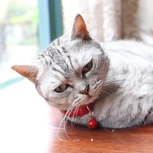 DAIHAQIKO - Collar para gato con campana, ajustable, diseño de gatitos