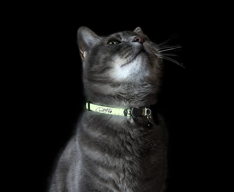 Rogz Catz GLOWCAT Pequeño 1/8" Breakaway reflectante Glow-in-the-Dark diseño de collar, Jumping gato negro de gato