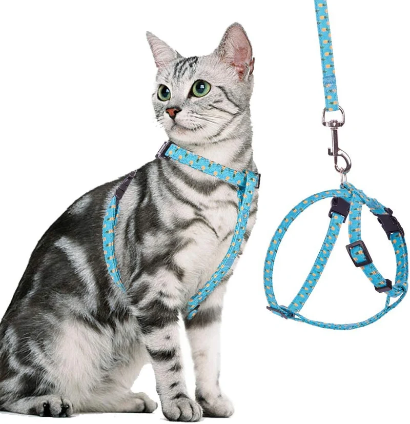 PUPTECK Cat Harness with Leash Set - Adjustable Escape Proof Walking Chest Strap with Pineapple Pattern