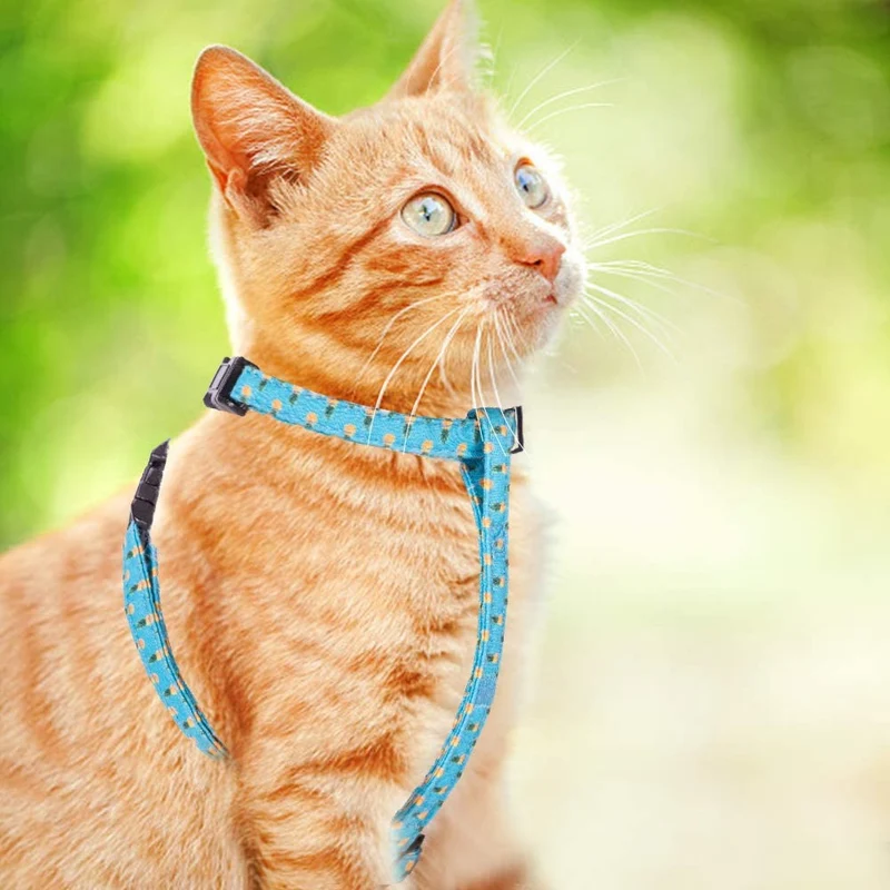 PUPTECK Cat Harness with Leash Set - Adjustable Escape Proof Walking Chest Strap with Pineapple Pattern