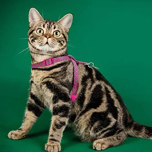 PUPTECK - Arnés para gatos a prueba de fugas, 8 estilos, con correa, ajustable, suave y ligero, para gatitos, cachorros