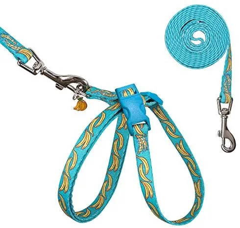 PUPTECK - Arnés para gatos a prueba de fugas, 8 estilos, con correa, ajustable, suave y ligero, para gatitos, cachorros