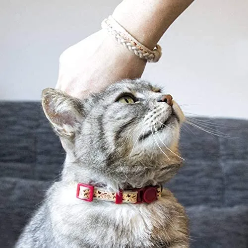 Pettsie - Pulsera de amistad con collar de gato y collar a juego, caja de regalo ecológica, anillo en D para accesorios, 100% algodón para mayor seguridad y comodidad, ajustable de 7.5 – 11.5 in