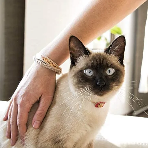 Pettsie - Pulsera de amistad con collar de gato y collar a juego, caja de regalo ecológica, anillo en D para accesorios, 100% algodón para mayor seguridad y comodidad, ajustable de 7.5 – 11.5 in