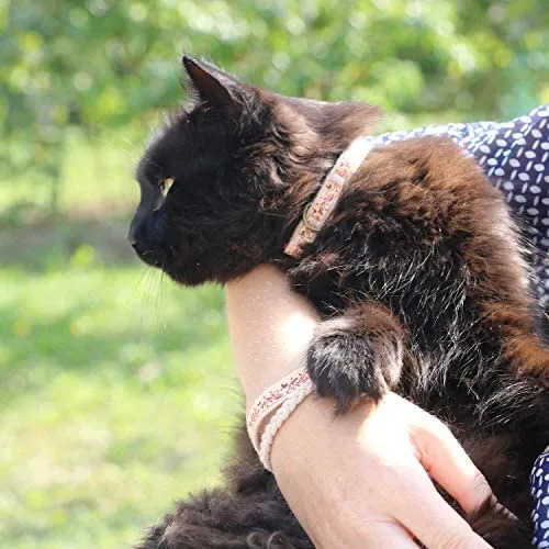 Pettsie - Pulsera de amistad con collar de gato y collar a juego, caja de regalo ecológica, anillo en D para accesorios, 100% algodón para mayor seguridad y comodidad, ajustable de 7.5 – 11.5 in