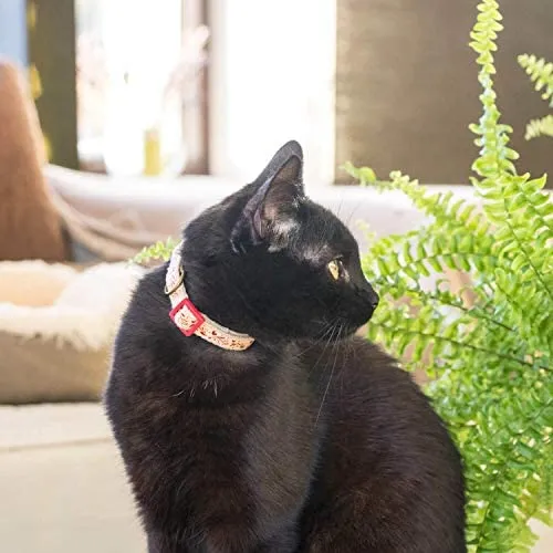 Pettsie - Pulsera de amistad con collar de gato y collar a juego, caja de regalo ecológica, anillo en D para accesorios, 100% algodón para mayor seguridad y comodidad, ajustable de 7.5 – 11.5 in