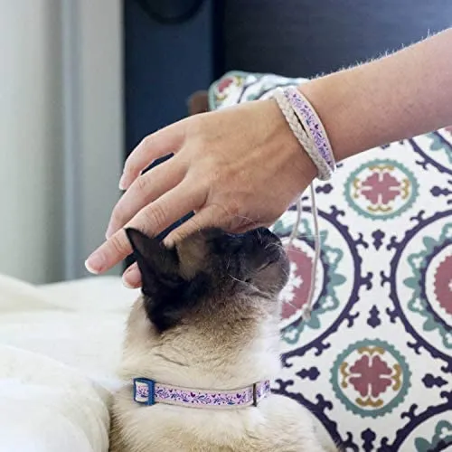 Pettsie - Pulsera de amistad con collar de gato y collar a juego, caja de regalo ecológica, anillo en D para accesorios, 100% algodón para mayor seguridad y comodidad, ajustable de 7.5 – 11.5 in