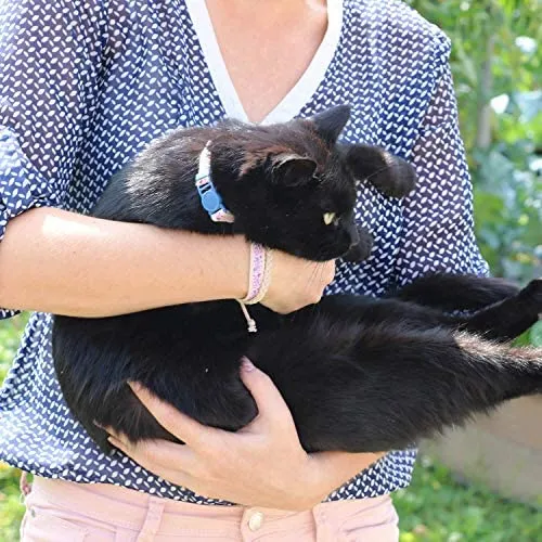 Pettsie - Pulsera de amistad con collar de gato y collar a juego, caja de regalo ecológica, anillo en D para accesorios, 100% algodón para mayor seguridad y comodidad, ajustable de 7.5 – 11.5 in