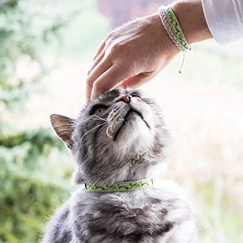 Pettsie - Pulsera de amistad con collar de gato y collar a juego, caja de regalo ecológica, anillo en D para accesorios, 100% algodón para mayor seguridad y comodidad, ajustable de 7.5 – 11.5 in