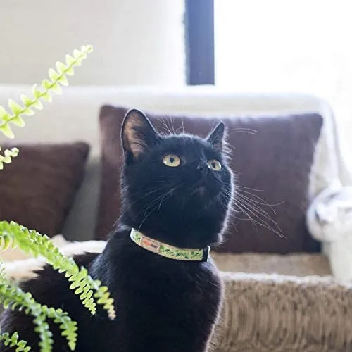 Pettsie - Pulsera de amistad con collar de gato y collar a juego, caja de regalo ecológica, anillo en D para accesorios, 100% algodón para mayor seguridad y comodidad, ajustable de 7.5 – 11.5 in