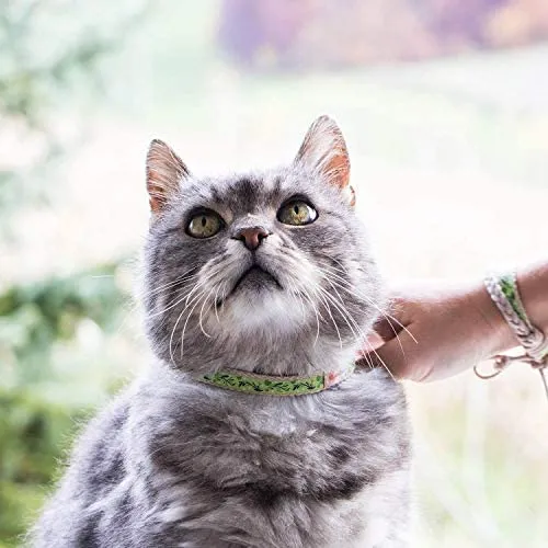 Pettsie - Pulsera de amistad con collar de gato y collar a juego, caja de regalo ecológica, anillo en D para accesorios, 100% algodón para mayor seguridad y comodidad, ajustable de 7.5 – 11.5 in