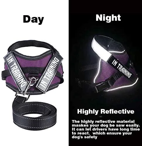 JAD - Arnés de gato ajustable para gatos, arnés de escape para caminar, arnés de ajuste cómodo para mascotas, gatito, cachorro, conejo, arnés de correa para gato con tiras reflectantes y 1 anillo de correa de metal