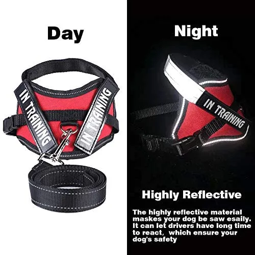 JAD - Arnés de gato ajustable para gatos, arnés de escape para caminar, arnés de ajuste cómodo para mascotas, gatito, cachorro, conejo, arnés de correa para gato con tiras reflectantes y 1 anillo de correa de metal