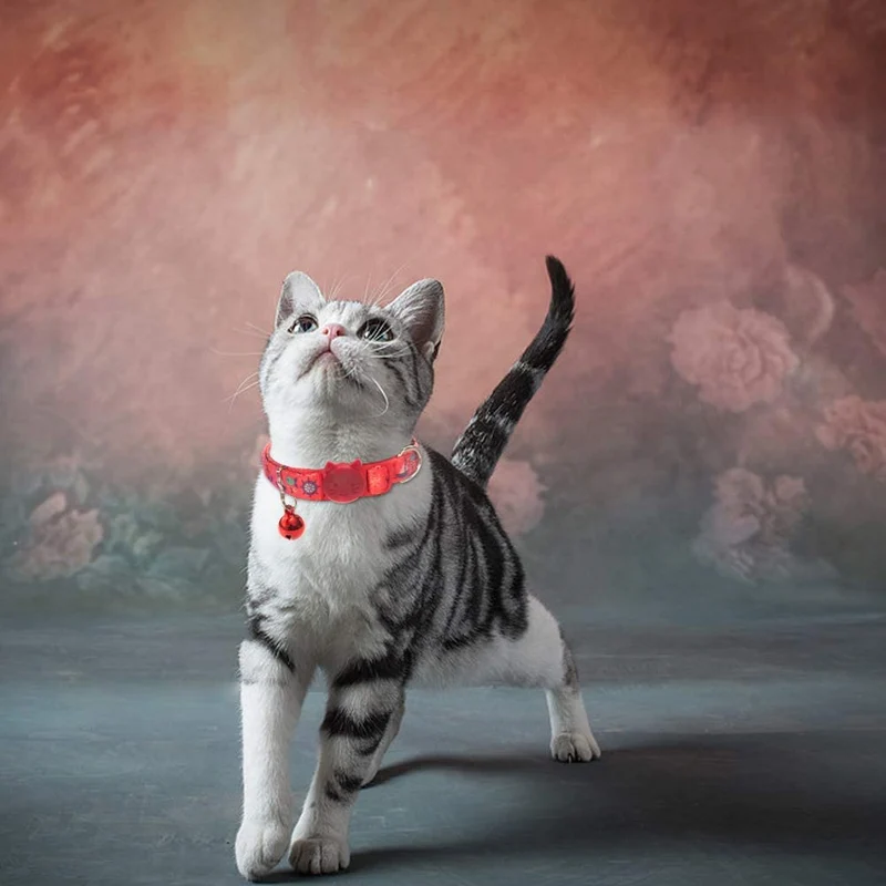 PAWCHIE - Collar ajustable para gato con campana, diseño de patrón oceánico para gatito (3 unidades)