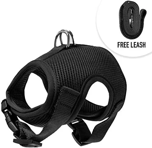 Downtown - Chaleco para mascotas con arnés y correa combinados con funciones de seguridad añadidas para que sea resistente a la deformación de gatos pequeños, medianos, grandes y pequeños (disponible en azul y negro)
