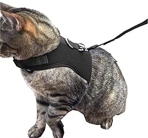 Downtown - Chaleco para mascotas con arnés y correa combinados con funciones de seguridad añadidas para que sea resistente a la deformación de gatos pequeños, medianos, grandes y pequeños (disponible en azul y negro)