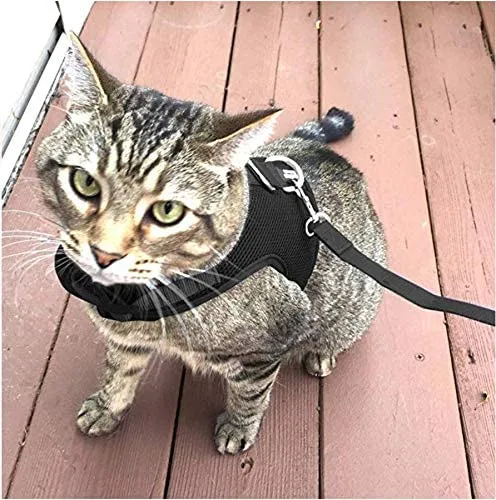 Downtown - Chaleco para mascotas con arnés y correa combinados con funciones de seguridad añadidas para que sea resistente a la deformación de gatos pequeños, medianos, grandes y pequeños (disponible en azul y negro)