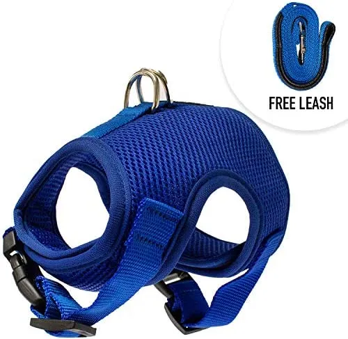 Downtown - Chaleco para mascotas con arnés y correa combinados con funciones de seguridad añadidas para que sea resistente a la deformación de gatos pequeños, medianos, grandes y pequeños (disponible en azul y negro)