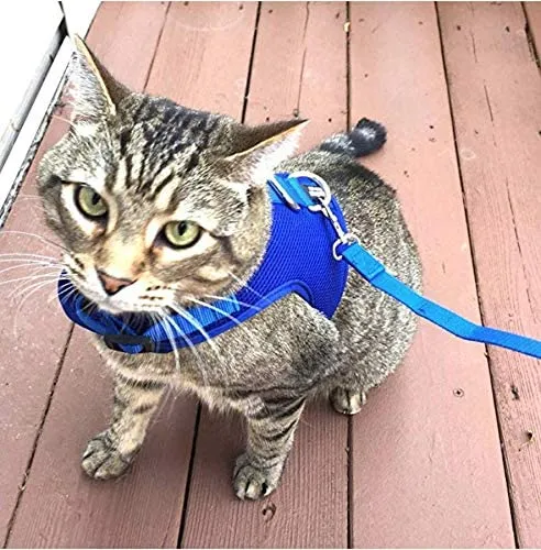 Downtown - Chaleco para mascotas con arnés y correa combinados con funciones de seguridad añadidas para que sea resistente a la deformación de gatos pequeños, medianos, grandes y pequeños (disponible en azul y negro)