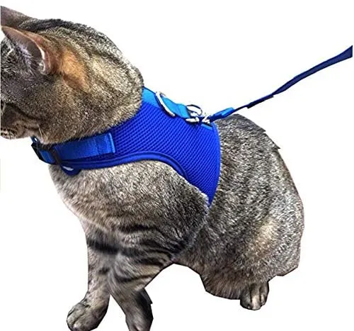Downtown - Chaleco para mascotas con arnés y correa combinados con funciones de seguridad añadidas para que sea resistente a la deformación de gatos pequeños, medianos, grandes y pequeños (disponible en azul y negro)