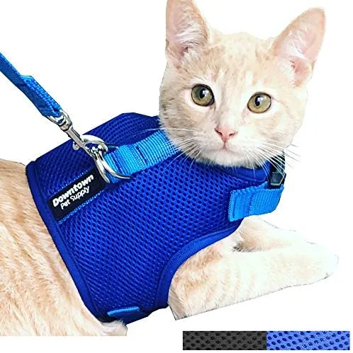 Downtown - Chaleco para mascotas con arnés y correa combinados con funciones de seguridad añadidas para que sea resistente a la deformación de gatos pequeños, medianos, grandes y pequeños (disponible en azul y negro)