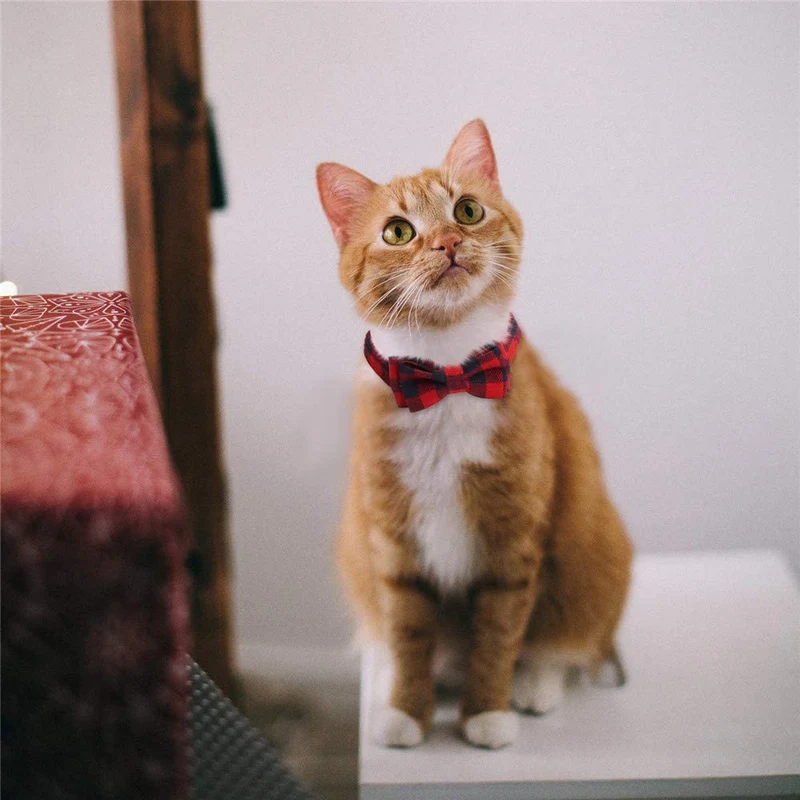 SLSON - Juego de 4 collares para gato con campana, a cuadros y pajarita para mascotas, gatitos y gatos, ajustables de 8 a 11 pulgadas, negro, azul, rojo y verde