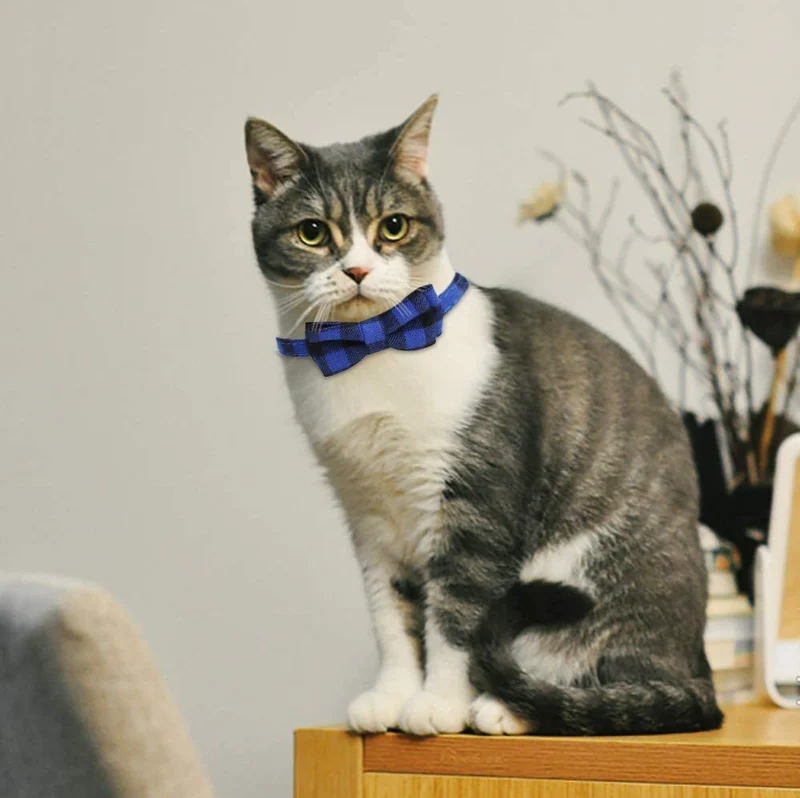SLSON - Juego de 4 collares para gato con campana, a cuadros y pajarita para mascotas, gatitos y gatos, ajustables de 8 a 11 pulgadas, negro, azul, rojo y verde