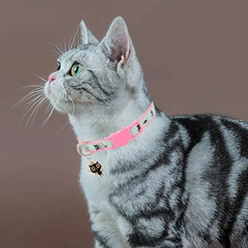 Barleygoo - Juego de 2 collares para gato con colgante