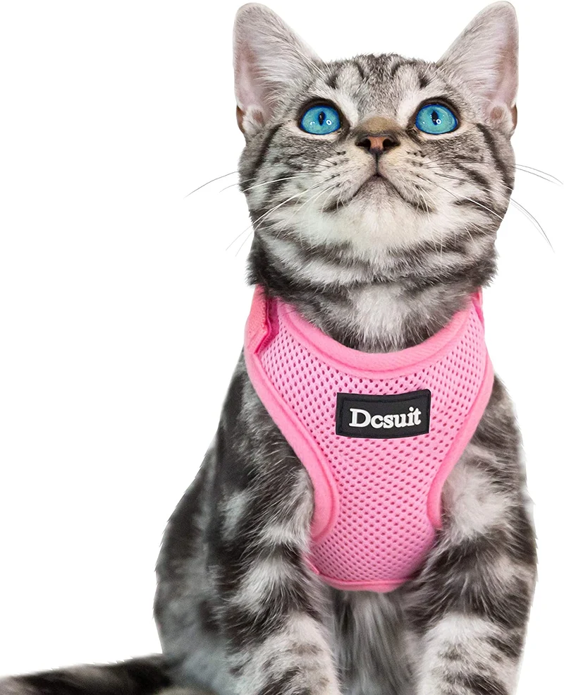 DCSUIT Cat Harness Leash Set - Escape Proof Safety Pink Cute Small Dog Soft Mesh Breathable Full Body Vest Harness,Adjustable Comfort Fit for Puppy/Kittens/Rabbits/Small Animals Easy Walking Outside