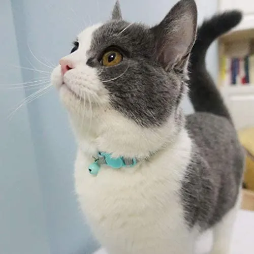 Collar para gato con campana, hebilla de seguridad, collar ajustable para gato, varios diseños, paquete de 4