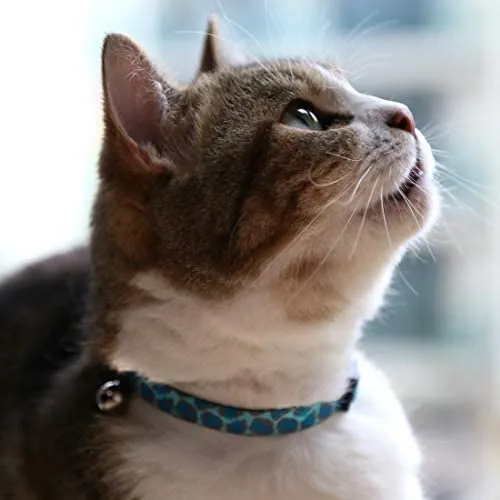 Collar para gato con campana, hebilla de seguridad, collar ajustable para gato, varios diseños, paquete de 4