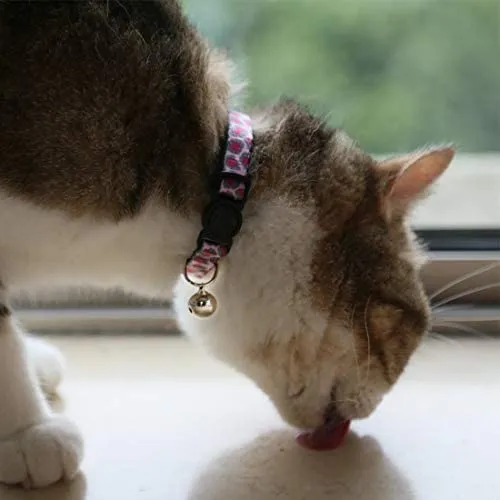 Collar para gato con campana, hebilla de seguridad, collar ajustable para gato, varios diseños, paquete de 4