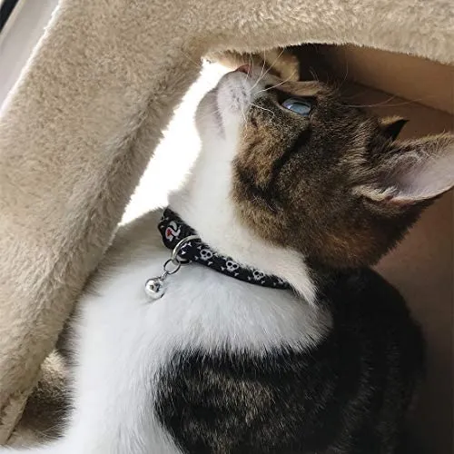 Collar para gato con campana, hebilla de seguridad, collar ajustable para gato, varios diseños, paquete de 4
